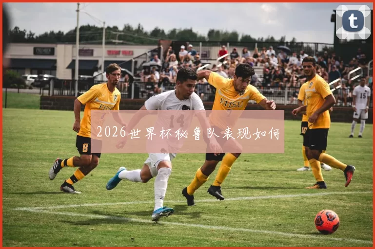2026世界杯秘鲁队表现如何